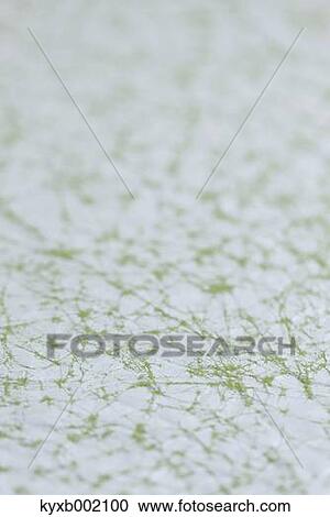 Japanese paper View Large Photo Image Stock Image - Japanese paper. Fotosearch