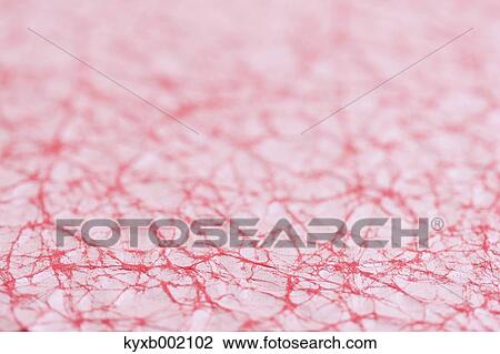 Japanese paper View Large Photo Image Stock Image - Japanese paper. Fotosearch