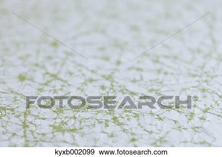 Japanese paper View Large Photo Image Stock Photo - Japanese paper. Fotosearch