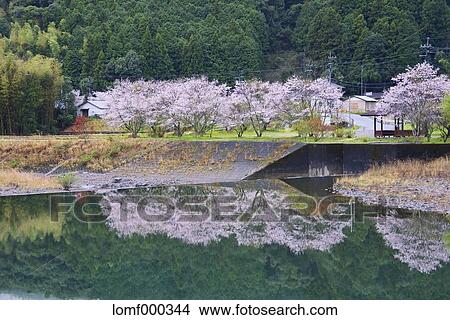 Kochi Prefecture, Japan View Large Photo Image Picture - Kochi Prefecture, Japan. Fotosearch