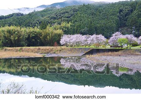 Kochi Prefecture, Japan View Large Photo Image Stock Image - Kochi Prefecture, Japan. Fotosearch