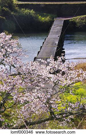 Kochi Prefecture, Japan View Large Photo Image Stock Photograph - Kochi Prefecture, Japan. Fotosearch