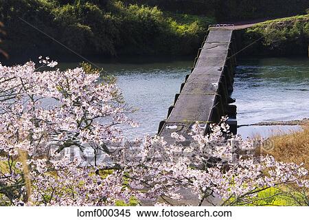 Kochi Prefecture, Japan View Large Photo Image Stock Photography - Kochi Prefecture, Japan. Fotosearch