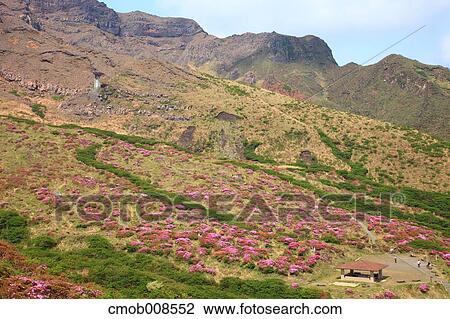Stock Image - Kumamoto Prefecture, Japan. Fotosearch