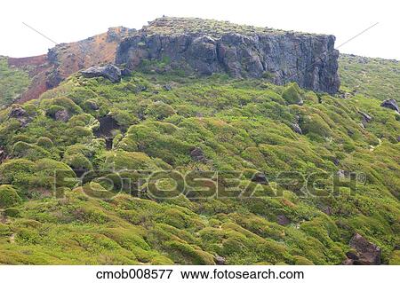 Kumamoto Prefecture, Japan View Large Photo Image Stock Photo - Kumamoto Prefecture, Japan. Fotosearch