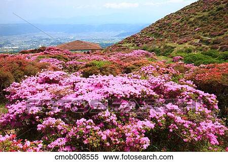 Stock Photography - Kumamoto Prefecture, Japan. Fotosearch