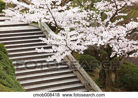 Kyoto, Japan View Large Photo Image Stock Photo - Kyoto, Japan. Fotosearch