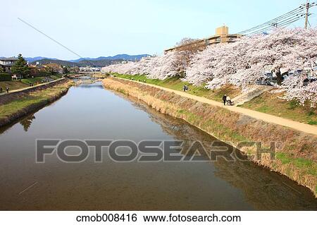 Kyoto, Japan View Large Photo Image Stock Photograph - Kyoto, Japan. Fotosearch