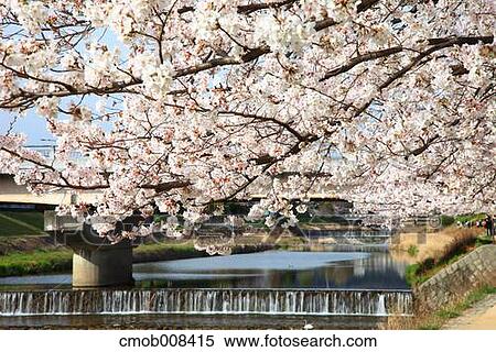 Kyoto, Japan View Large Photo Image Stock Photography - Kyoto, Japan. Fotosearch