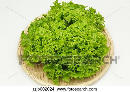 Lettuce View Large Photo Image Picture - Lettuce. Fotosearch