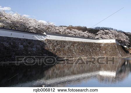Maizuru Castle Park, Yamanashi Prefecture, Japan View Large Photo Image Stock Image - Maizuru Castle Park, Yamanashi Prefecture, Japan. Fotosearch
