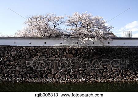 Stock Image - Maizuru Castle Park, Yamanashi Prefecture, Japan. Fotosearch