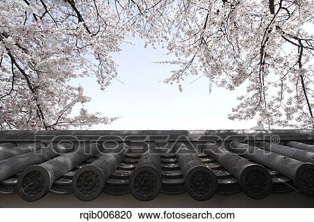 Stock Image - Maizuru Castle Park, Yamanashi Prefecture, Japan. Fotosearch