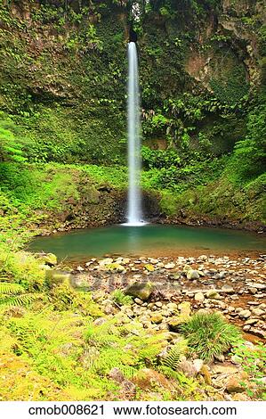 Miyazaki Prefecture, Japan View Large Photo Image Stock Image - Miyazaki Prefecture, Japan. Fotosearch