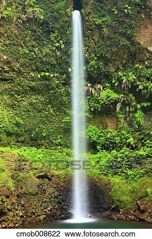 Miyazaki Prefecture, Japan View Large Photo Image Stock Image - Miyazaki Prefecture, Japan. Fotosearch