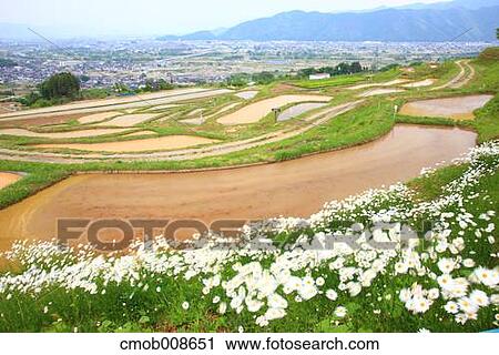 Nagano Prefecture, Japan View Large Photo Image Stock Image - Nagano Prefecture, Japan. Fotosearch