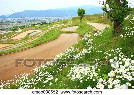 Nagano Prefecture, Japan View Large Photo Image Stock Image - Nagano Prefecture, Japan. Fotosearch