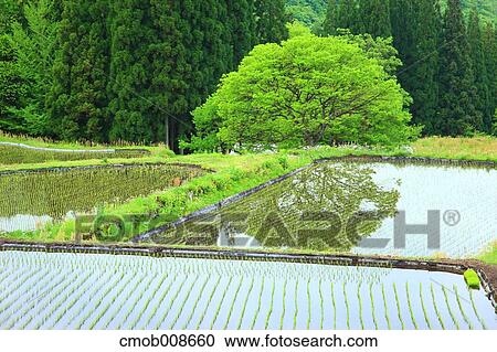 Nagano Prefecture, Japan View Large Photo Image Stock Image - Nagano Prefecture, Japan. Fotosearch
