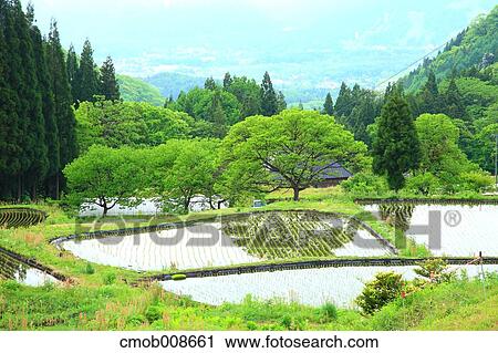 Nagano Prefecture, Japan View Large Photo Image Stock Image - Nagano Prefecture, Japan. Fotosearch