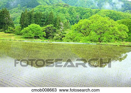 Nagano Prefecture, Japan View Large Photo Image Stock Image - Nagano Prefecture, Japan. Fotosearch