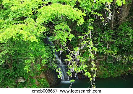 Stock Photo - Nagano Prefecture, Japan. Fotosearch