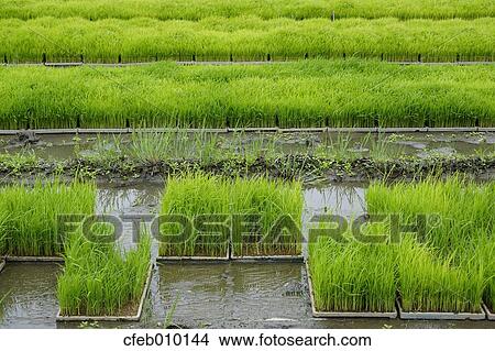 Nara Prefecture, Japan View Large Photo Image Picture - Nara Prefecture, Japan. Fotosearch
