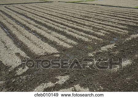Stock Photo - Nara Prefecture, Japan. Fotosearch