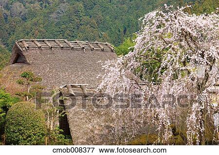 Stock Photo - Nara Prefecture, Japan. Fotosearch