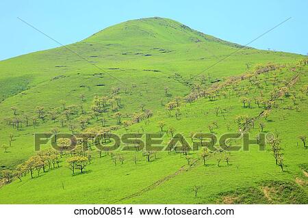 Oita Prefecture, Japan View Large Photo Image Picture - Oita Prefecture, Japan. Fotosearch