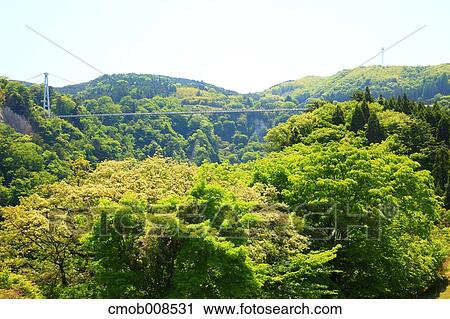 Oita Prefecture, Japan View Large Photo Image Stock Image - Oita Prefecture, Japan. Fotosearch