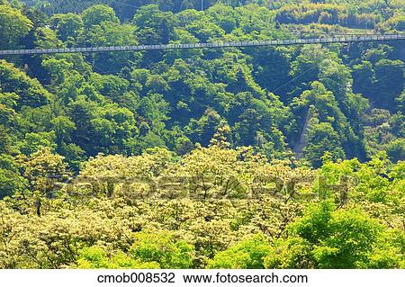 Oita Prefecture, Japan View Large Photo Image Stock Image - Oita Prefecture, Japan. Fotosearch