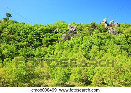 Oita Prefecture, Japan View Large Photo Image Stock Photo - Oita Prefecture, Japan. Fotosearch