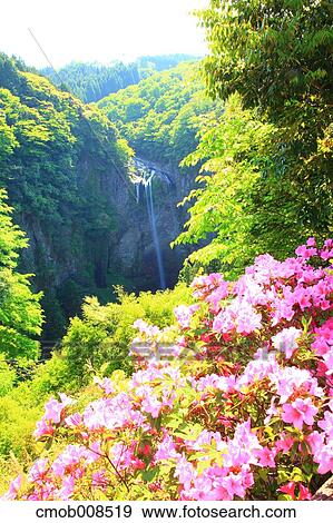Oita Prefecture, Japan View Large Photo Image Stock Photo - Oita Prefecture, Japan. Fotosearch