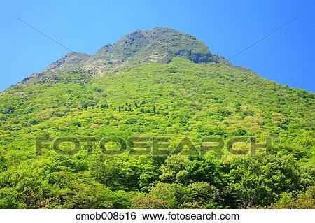 Oita Prefecture, Japan View Large Photo Image Stock Photograph - Oita Prefecture, Japan. Fotosearch