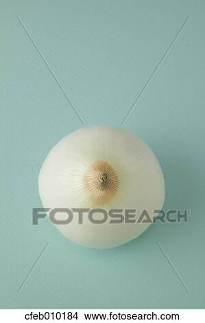 Onion View Large Photo Image Picture - Onion. Fotosearch