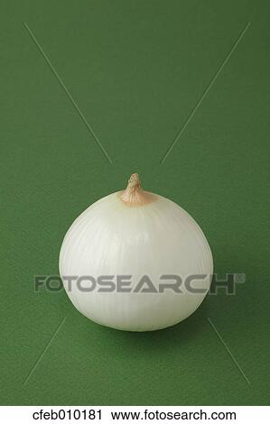 Onion View Large Photo Image Stock Image - Onion. Fotosearch