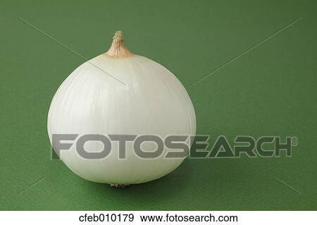 Onion View Large Photo Image Stock Photo - Onion. Fotosearch
