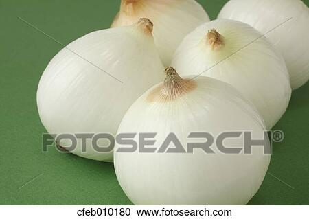Onions View Large Photo Image Stock Image - Onions. Fotosearch