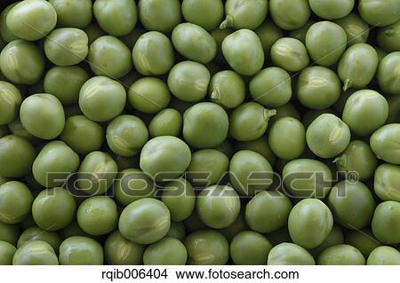Peas View Large Photo Image Picture - Peas. Fotosearch