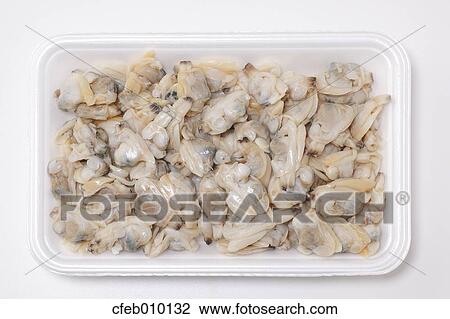 Raw Asari clams View Large Photo Image Stock Image - Raw Asari clams. Fotosearch
