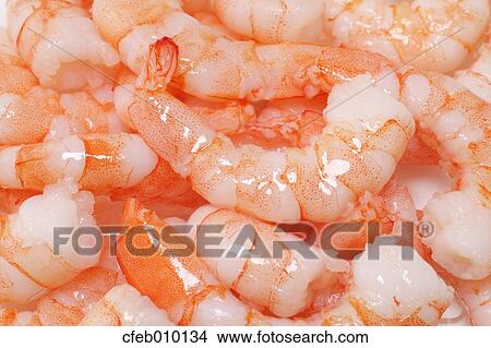 Raw shrimps View Large Photo Image Picture - Raw shrimps. Fotosearch