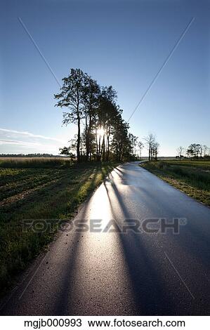 Stock Image - Road in the countryside. Fotosearch