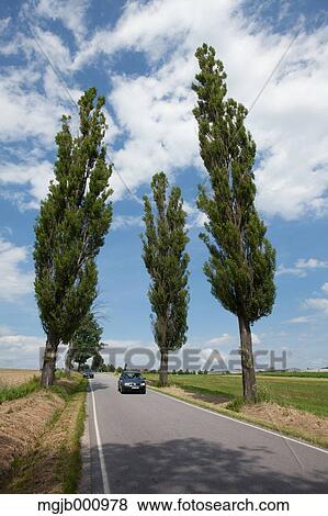Road in the countryside View Large Photo Image Stock Photo - Road in the countryside. Fotosearch