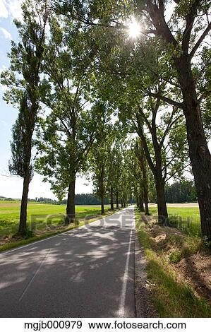 Road in the countryside View Large Photo Image Stock Photo - Road in the countryside. Fotosearch
