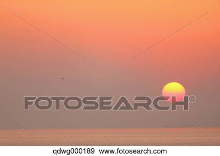Sea at sunrise View Large Photo Image Stock Photo - Sea at sunrise. Fotosearch