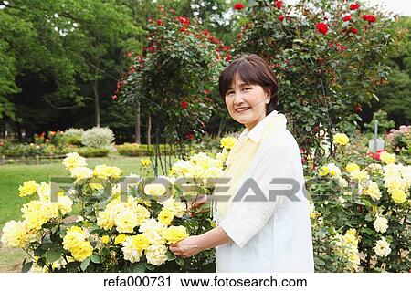 Senior adult Japanese woman in a park View Large Photo Image Stock Image - Senior adult Japanese woman in a park. Fotosearch