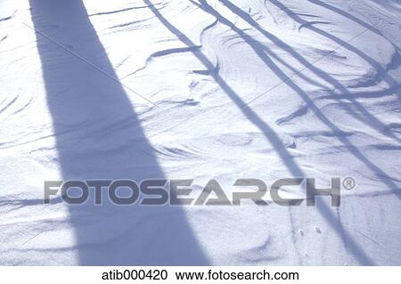 Shadows on snow View Large Photo Image Stock Image - Shadows on snow. Fotosearch