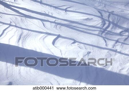 Shadows on snow View Large Photo Image Stock Image - Shadows on snow. Fotosearch