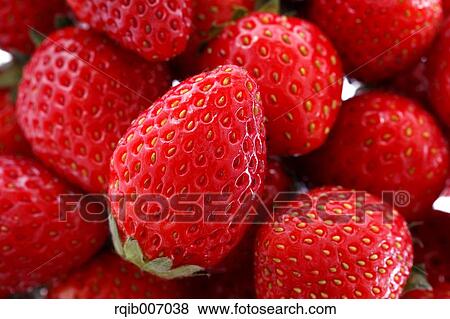 Strawberries View Large Photo Image Stock Photo - Strawberries. Fotosearch