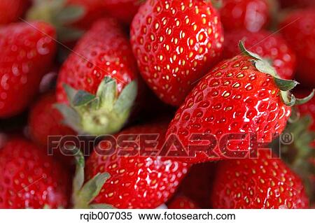Stock Photography - Strawberries. Fotosearch